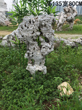 太湖石摆件原石观赏石盆景精品老太湖石收藏假山石盆景室内天然