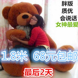 公仔布娃娃泰迪熊毛绒玩具熊大号生日礼物抱枕女生熊猫玩偶抱抱熊