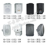 二分频壁挂音箱5寸 6.5寸30-40W黑白可选  YAMAHA款式会议音箱