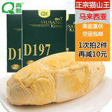 【青颗】进口D197猫山王冷冻榴莲果肉1斤装马来西亚新鲜水果包邮