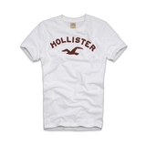 Hollister 男款休闲短袖T恤 AF副牌美国正品代购 国内现货 多色