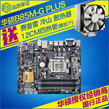 Asus/华硕 B85M-G PLUS 电脑主板 搭i3 4170套装更优惠 支持i5