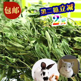 包邮 优质绿色紫花苜蓿草 兔粮兔子龙猫荷兰猪兔草 1kg