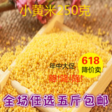 黄小米 小黄米 2015新米月子米小米粥宝宝米 农家有机杂粮 小米