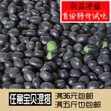 农家自产新货绿芯黑豆250g沂蒙山非转基因天然绿心五谷粗粮满包邮