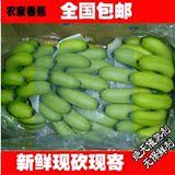 包邮 广东高州新鲜水果无催熟剂保鲜剂农家自种香蕉非批发 5斤