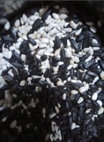 黑珍珠小瓜子白花子白瓜子2合1混合葵花子油葵籽鹦鹉鸟食五斤包邮