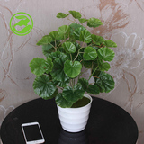 40厘米小绿植盆栽仿真植物海棠叶塑料假花仿真花客厅酒店桌摆装饰