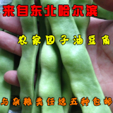 东北哈尔滨农家新鲜油豆角黑龙江特产与杂粮种类匹配任选5件