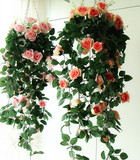 3条包邮绢花花藤路引档电表壁挂客厅装饰玫瑰吊篮白色花卉仿真花