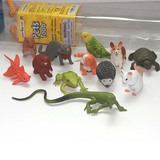 safari 仿真动物模型玩具 鹦鹉 刺猬 花猫 兔子 蜥蜴等12件打包