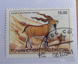 塔吉克斯坦邮票动物1枚 外国邮票  少见国家盖销票