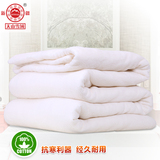 新疆棉被被芯春秋被幼儿园棉花小被子棉絮空调被儿童被夏凉被3斤