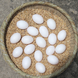 鸽子蛋 农家散养 宝宝辅食孕妇gedan土鸽蛋30只顺丰包邮 白鸽蛋