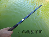 小稻穗鱼竿钓竿手杆超轻超硬手竿3.6 4.5 5.4米短节玻璃钢溪流竿