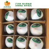 新鲜泰国椰青香水椰青椰子水果进口原箱9个促销，广东包邮顺丰