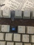 机械键盘主板带键帽 成色垃圾 樱桃/CHERR 黑轴 废板子拆轴用