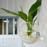 悬挂式墙壁壁挂花瓶透明玻璃水培装饰器皿创意居家装饰品小鱼缸