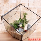 玻璃罩几何小摆件 创意饰品多肉植物微景观永生花房工艺瓶器礼盒