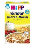 德国原版 喜宝HiPP有机牛奶草莓水果儿童麦片 12M+ 250g 麦片