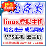 linux虚拟主机免备案空间香港服务器云主机VPS主机赠送二级域名