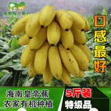 5斤装 海南兴隆皇帝蕉 芝麻蕉 小米蕉 新鲜水果 高档香蕉