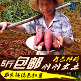 农家白薯紫皮红薯小香薯白心番薯红皮地瓜山芋 每单满5斤包邮