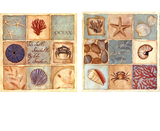 欧美式海洋风画心九宫格海星贝壳植物海螺螃蟹装饰画画芯画布