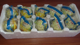 咸海鸭蛋泡沫蛋托 海鸭蛋专用防震包装盒 10枚装大孔加厚量大包邮