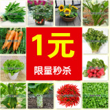 四季蔬菜种子 小白菜 香菜 萝卜黄瓜 辣椒黄秋葵草莓番茄香葱韭菜