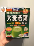 日本代购预售 山本汉方大麦若叶瘦身排毒便秘亚健康酸性体质 44包