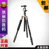 捷宝MT-2505专业单反照相机三脚架云台便携正品微单摄像机三角架