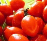 新鲜 圣女果 小番茄 沙拉小柿子 小西红柿 超级好吃 有黄色 1000g