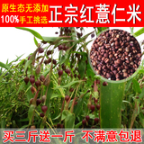 2015新货贵州兴仁农家自产有机小粒红薏仁米薏苡仁 红薏米 买3送1