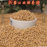 沂蒙山农家的大豆 非转基因黄豆自家种植 250g发豆芽磨豆浆专用