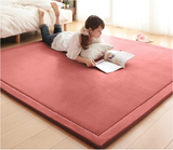 加厚地垫出口 现代简约珊瑚绒面 日式地毯榻榻米床垫子 卧室客厅