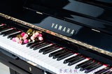 【超高性价比】日本原装进口二手钢琴YAMAHA雅马哈U3H/u3h/u3