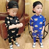 2016春装新款儿童韩版套装3-4-5岁男童两件套宝宝T恤+假两件裤子