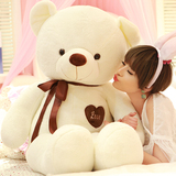 大熊猫公仔女生抱抱熊泰迪熊可爱布娃娃女孩生日情人节礼物送女友