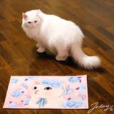 韩国jetoy 可爱猫咪家居地垫浴室防滑垫脚垫厨房门厅卫浴吸水地毯