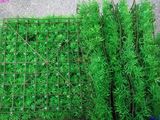 特价塑料仿真假草坪皮地毯加厚特长草装饰阳台玻璃顶橱窗绿色植物