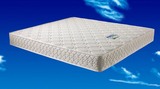 香港睡宝床垫席梦思天然乳胶弹簧山棕床垫一面硬一面软两用床垫
