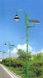 特价5米6米乡村太阳能道路灯智能控制开关庭院灯马路灯新农村改造