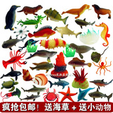 海洋动物玩具仿真模型玩偶海底世界海洋生物模型套装海豚龙虾鲨鱼