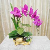 茶壶型花瓶手感仿真蝴蝶兰花艺套装假花绢花装饰干花客厅摆设花卉