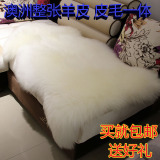 整张羊皮澳洲纯羊毛地毯羊毛沙发垫椅子垫卧室客厅飘窗垫毯可定做