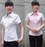 新款韩版 木耳花边 修身女短袖衬衫 白色/粉红色 条纹弹力女衬衫