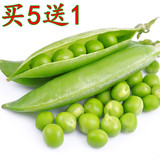 新鲜蔬菜 农家自种有机豌豆荚 新鲜豌豆 绿豌豆500g 满40包邮