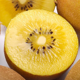 新西兰金奇异果黄心猕猴桃进口季节新鲜水果2个哈尔滨同城生鲜店