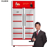 阪神553升大容量双门立式展示柜 家用商用冷藏冰柜饮料柜陈列柜
